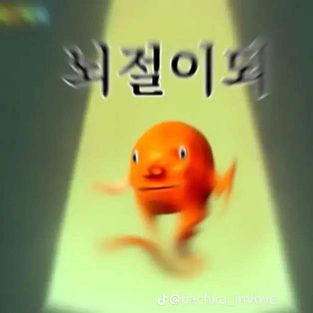 IndigoFox2550의 우리반 단톡방