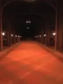 RottenBroom3994의 Figure