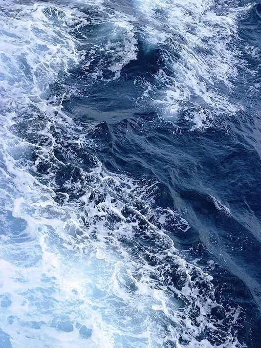 StumpyTie3956의 捨てたの定義 [ 黒川イザナ ]