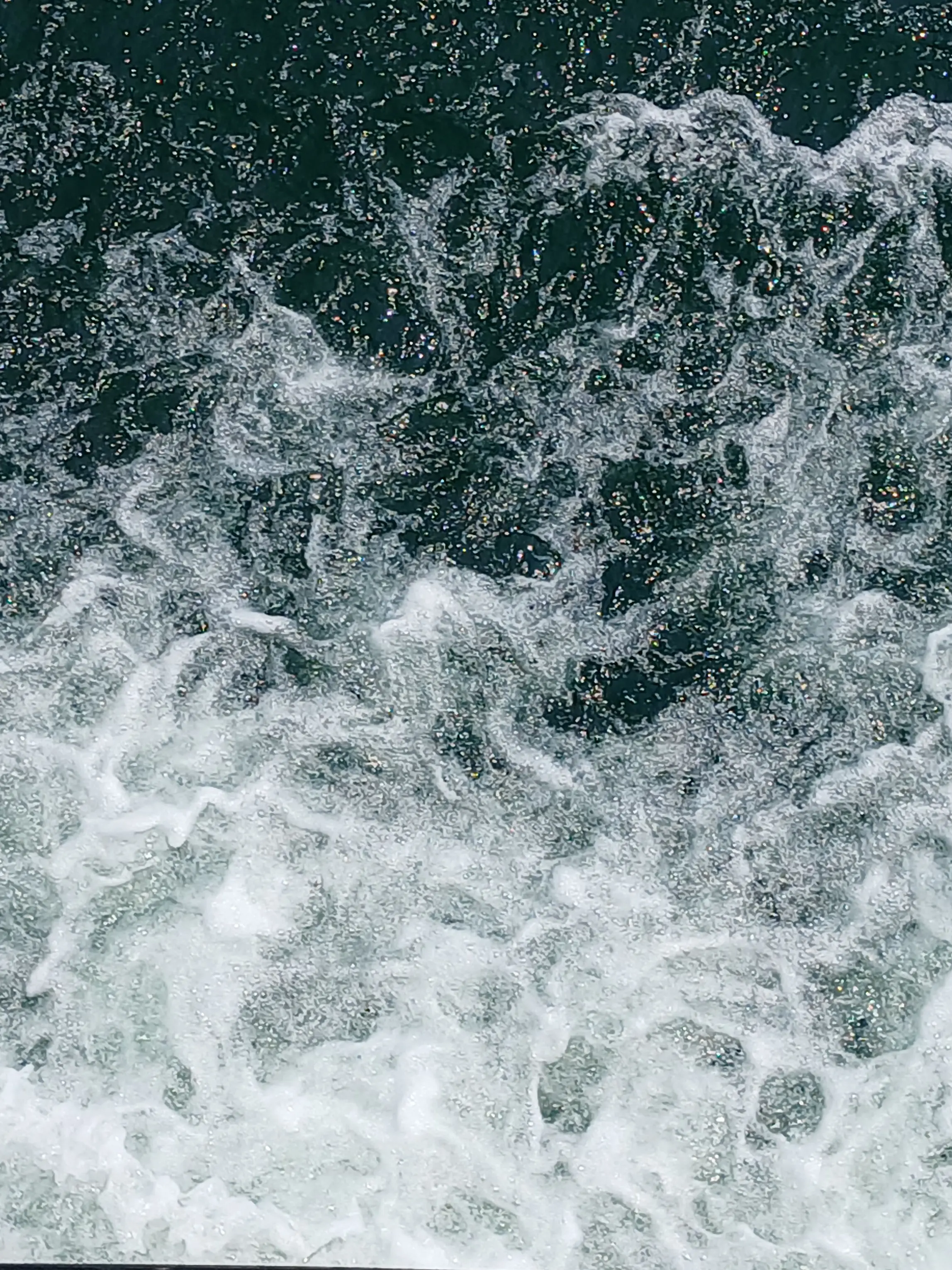 ShabbyLadle2921의 자유롭게 대화