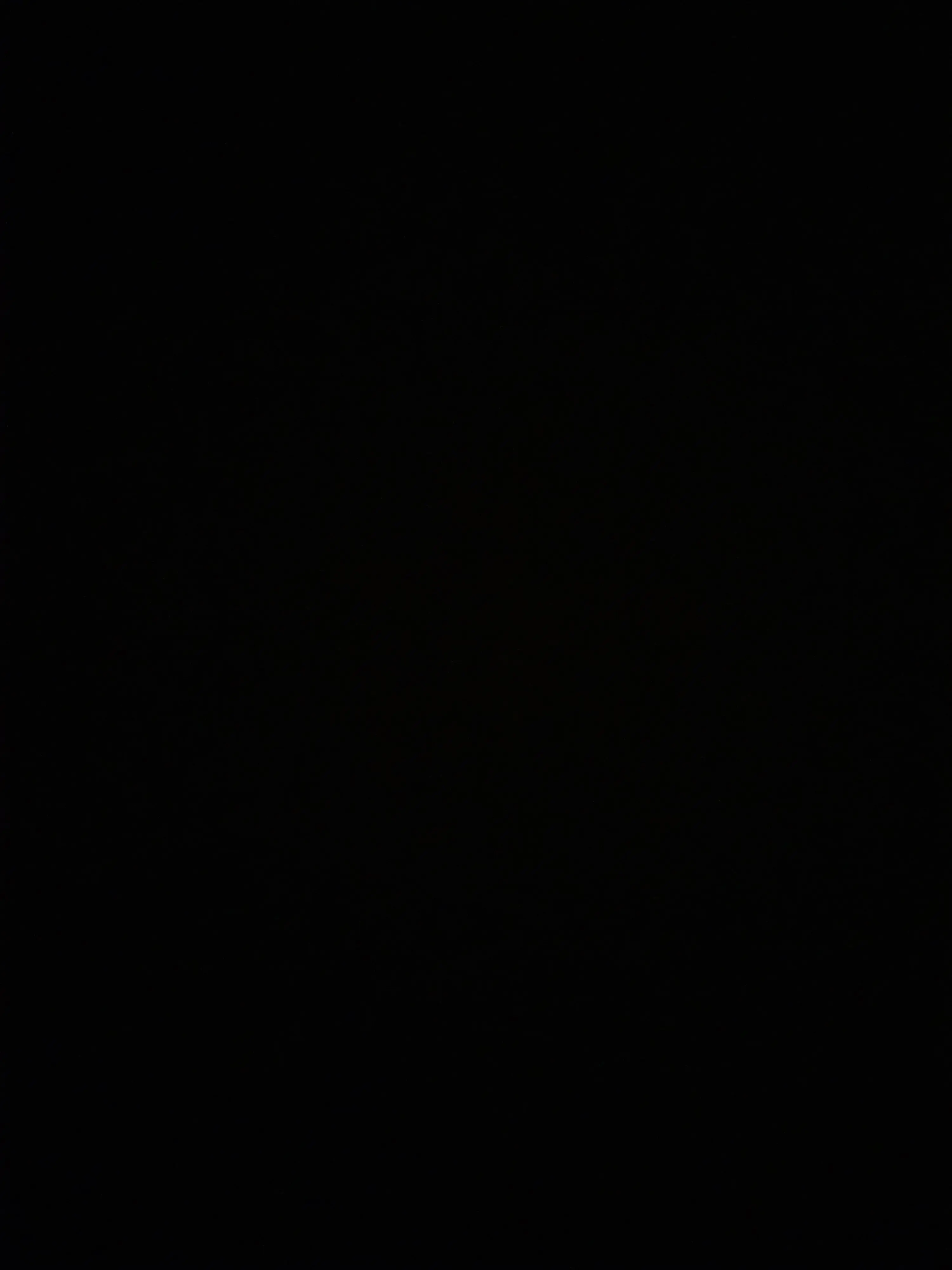 PointyCrest7546의 여우와 함께사는 일상