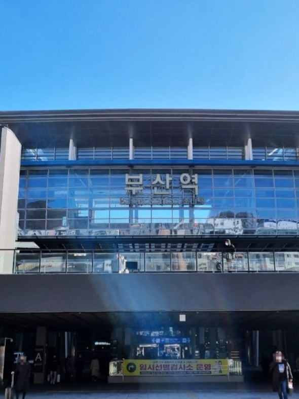 댕컴과 부산 여행! 대표 이미지