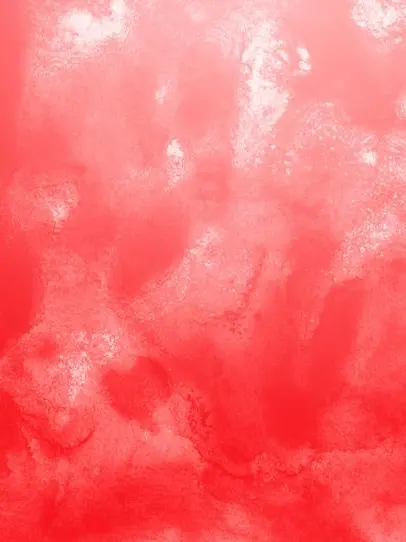 kamonohasi1013의 ステゴロパンチャーズ