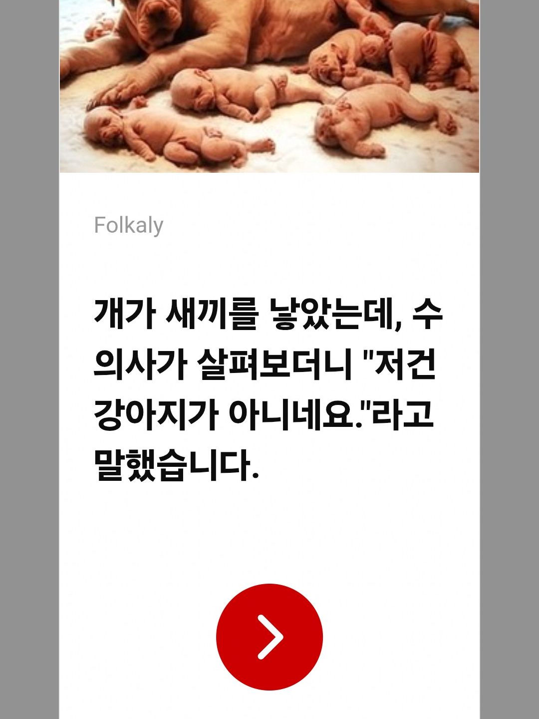 남녀무리 대표 이미지