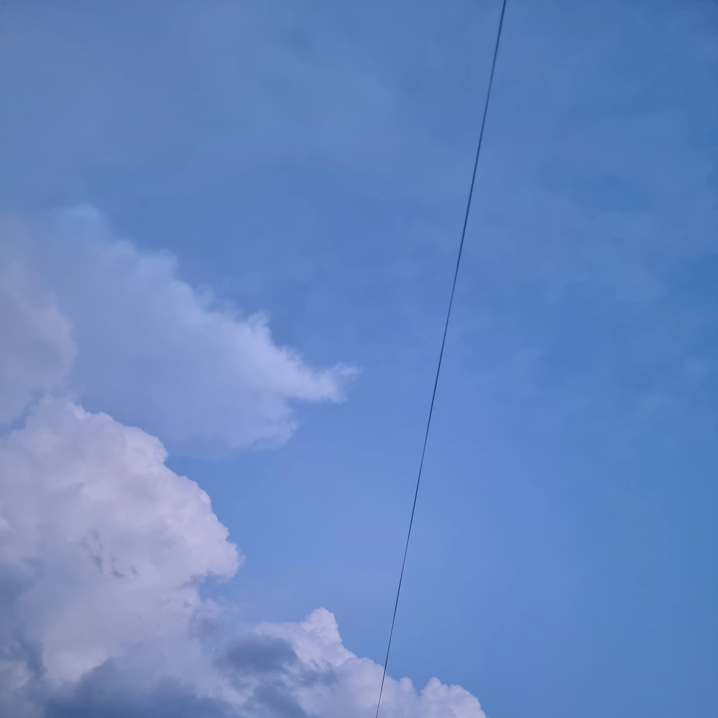 리 레볼루션 (혈귀)
