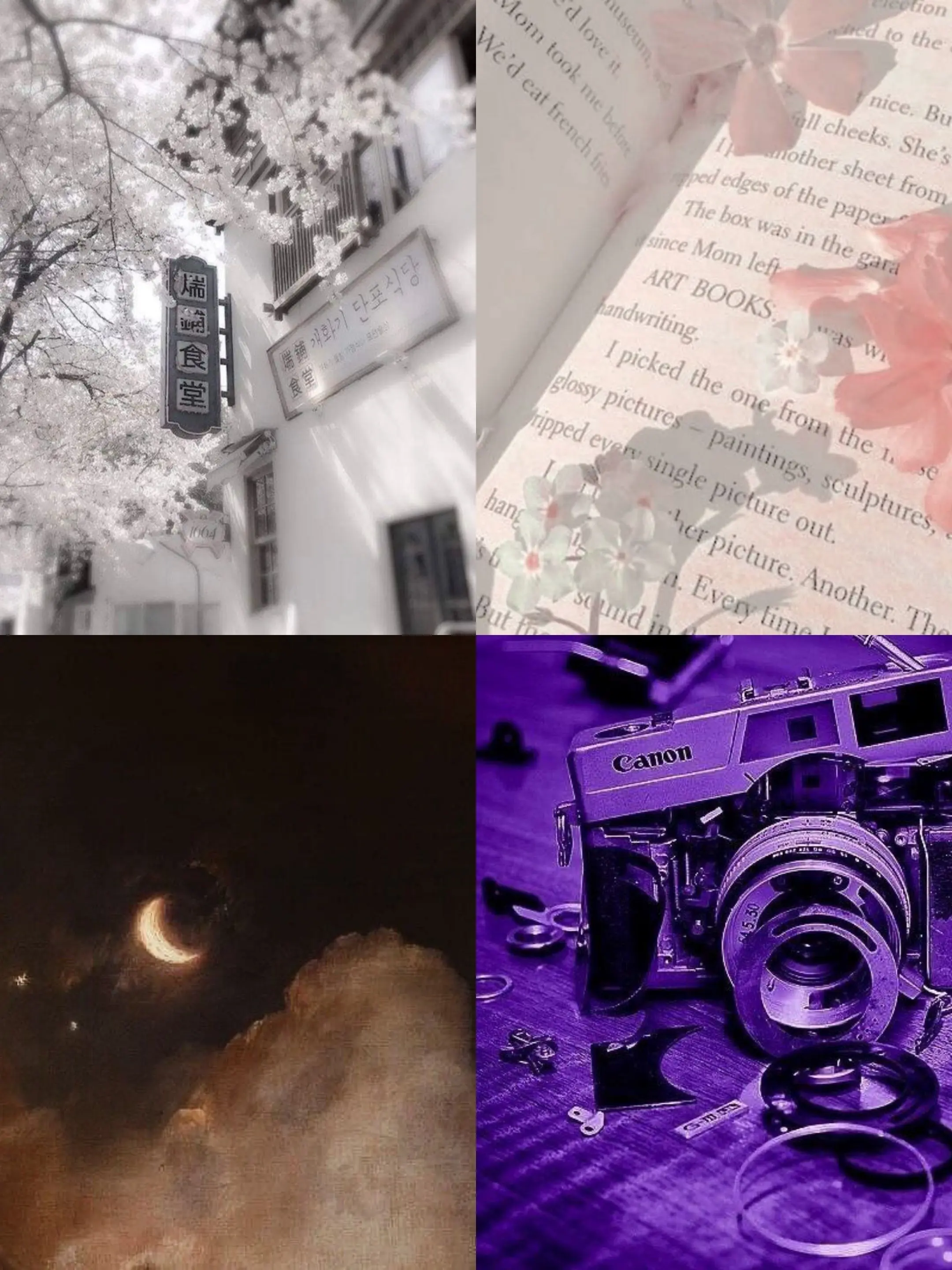 14_abc의 25시 나이트 코드에서