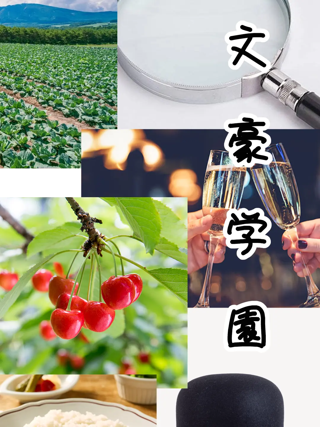 KOHANA4.29의 【文豪学園】今日も文学部は賑やかです!!