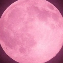 愛してはいけない
