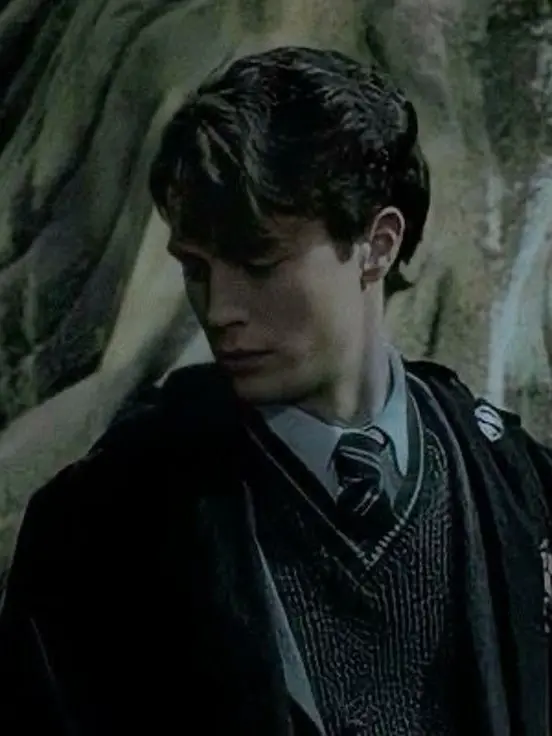 LeftRain2168의 Tom Riddle GrumpyXSunshine