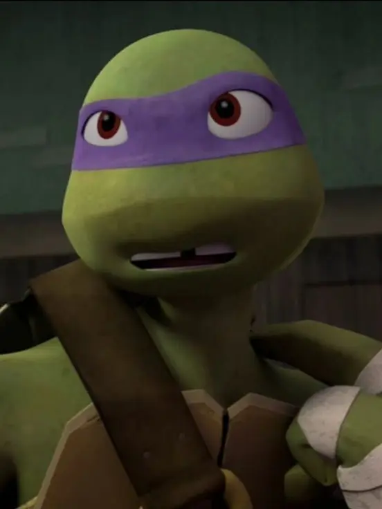 theStupid0ne의 Donatello