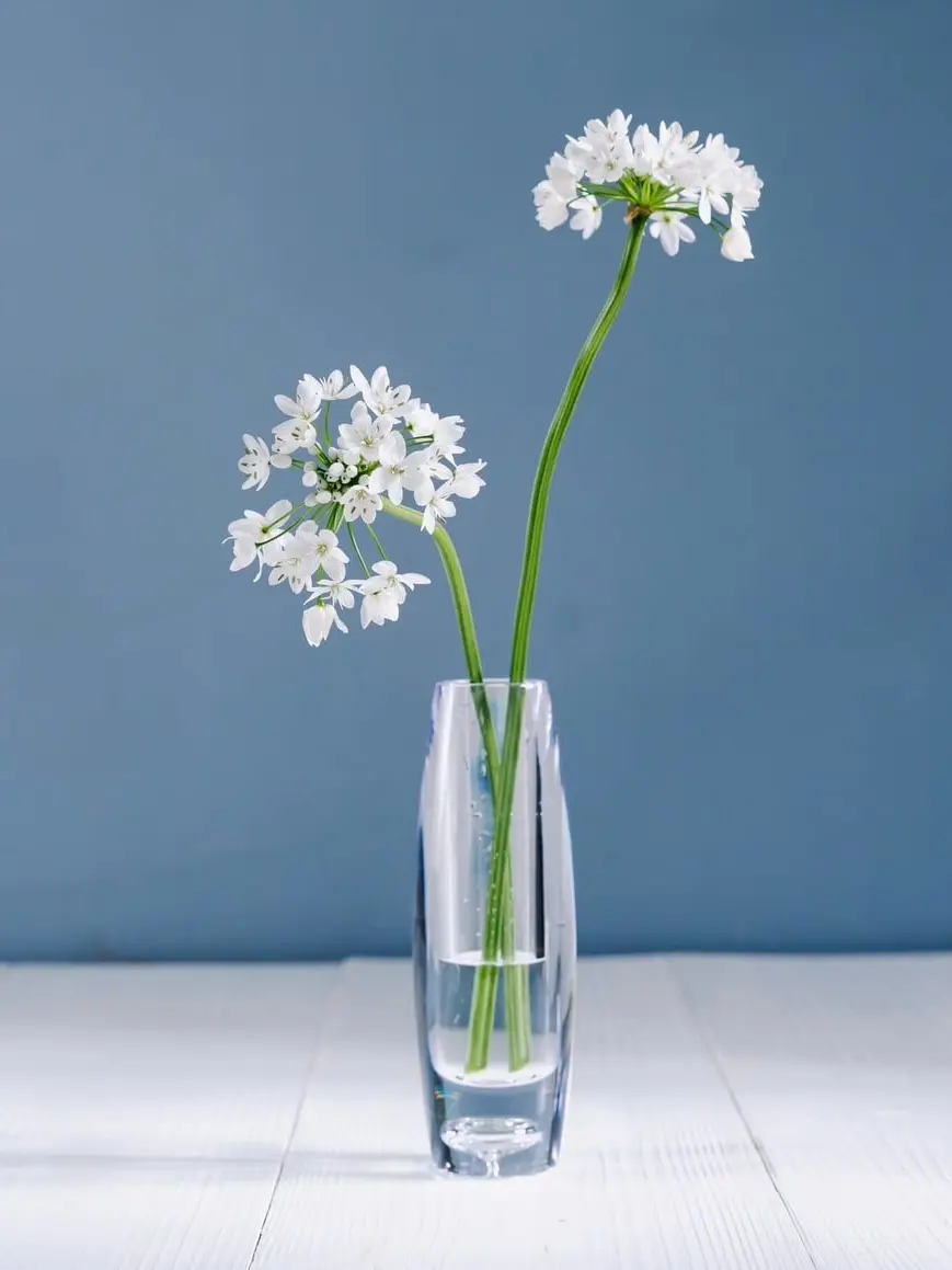 SafeBanjo4011의 死ぬのがトリガーの強個性