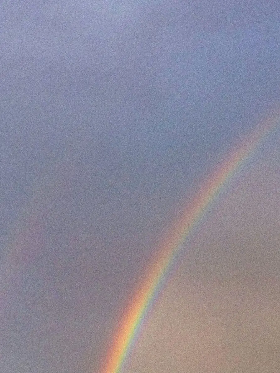 CurvedPlay8922의 패러다이스