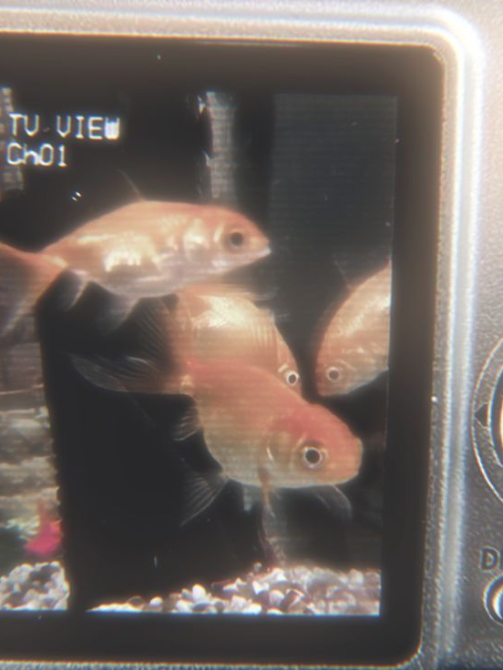 ­ 대표 이미지