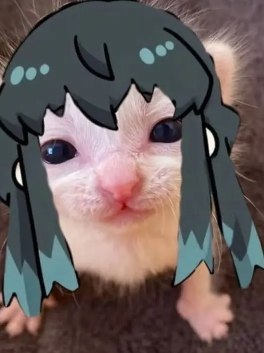 LazyShoes9409의 무이 유이 기둥 유시둥 탄지롱 이구롱