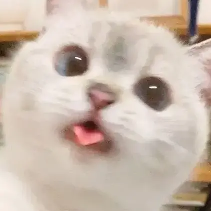 LushCloud4242의 ˗ˏˋ ꒰ 김주온 ꒱ ˎˊ˗