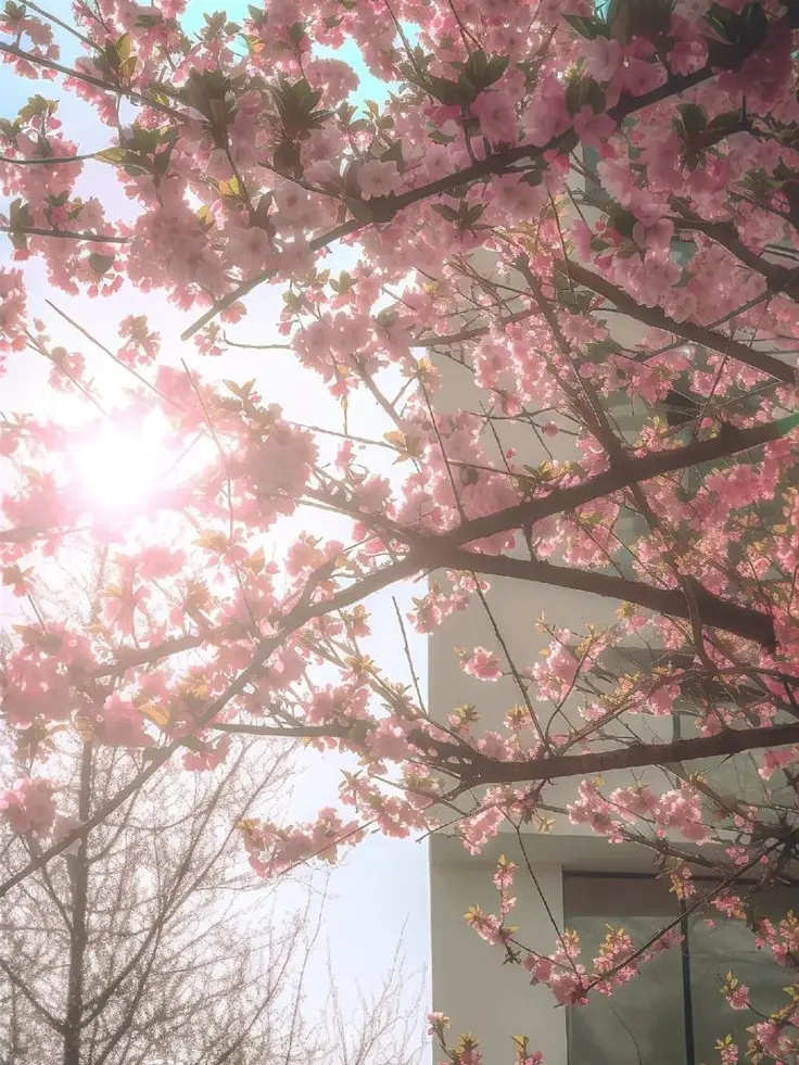 MoodyAlbum5933의 ㅂㅅㅎ