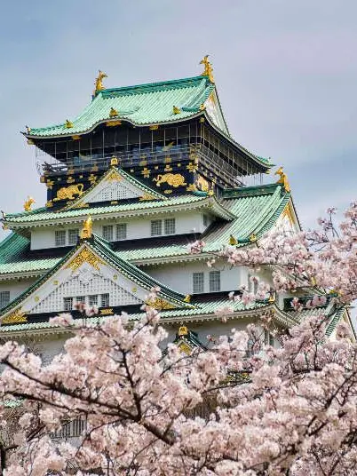 Kagaya_Ubuyashiki2026의 기유와 신혼 7일차+여우