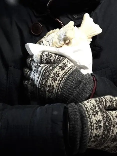 hutekinauser의 韓国俳優　ノジェウォン