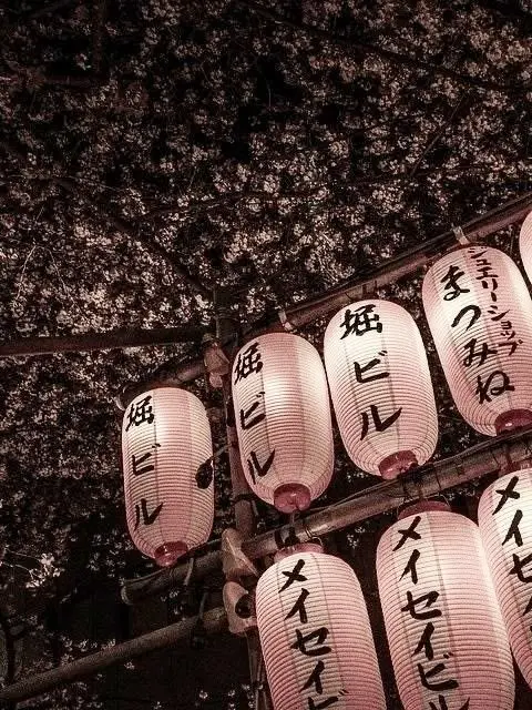 Buldak_tacopi의 一場春夢