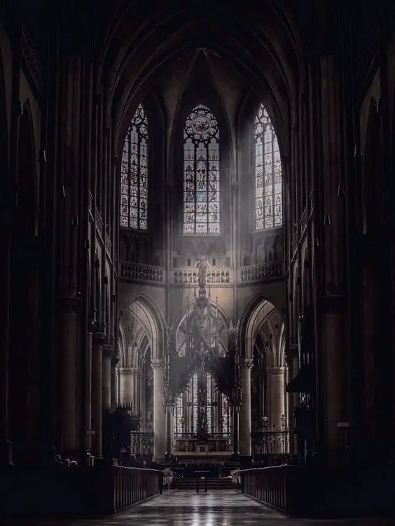 Rothel의 [언리밋] 퓨어바닐라