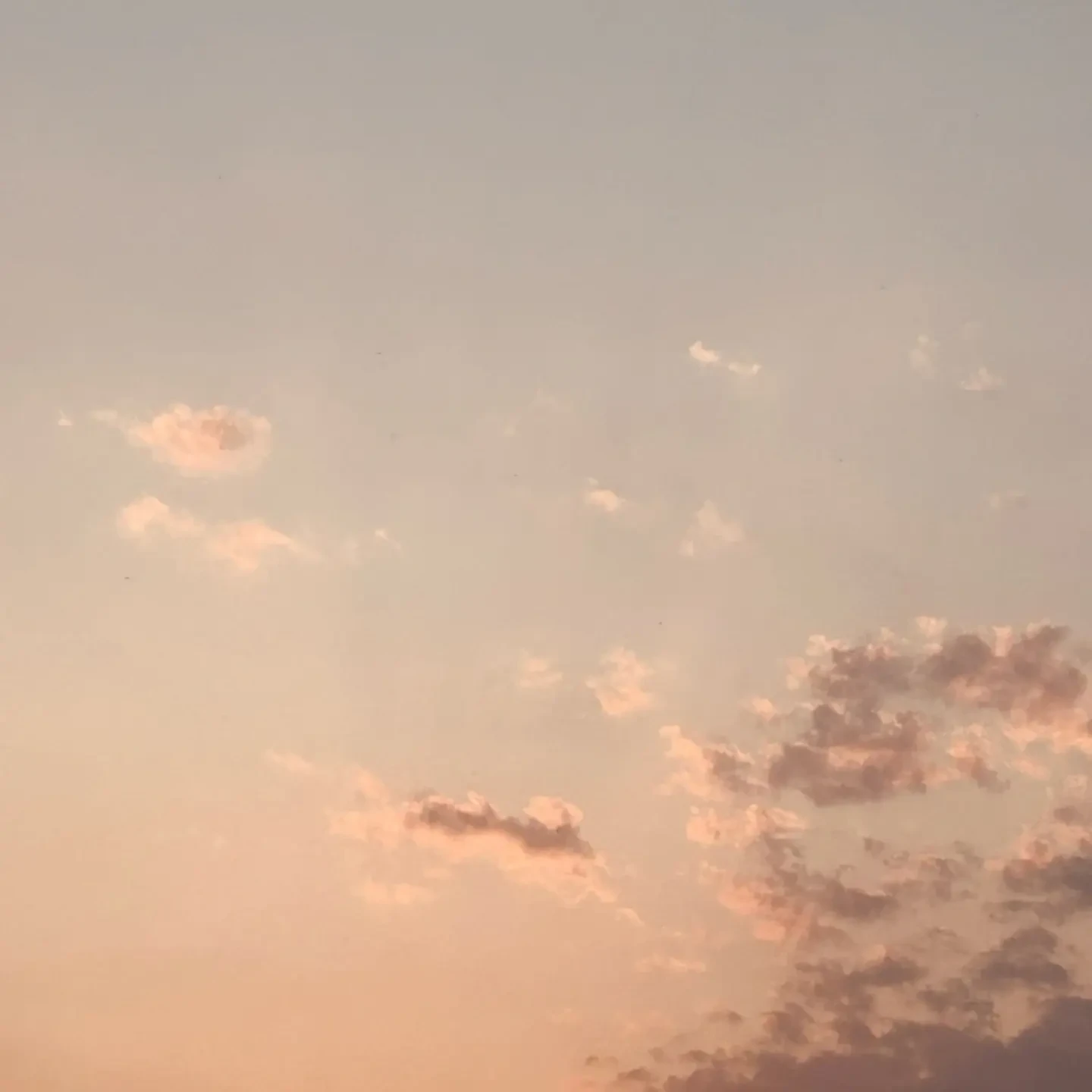 〜すのーまん〜（全員）