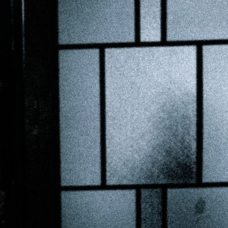 イヌ科イヌ属獣人