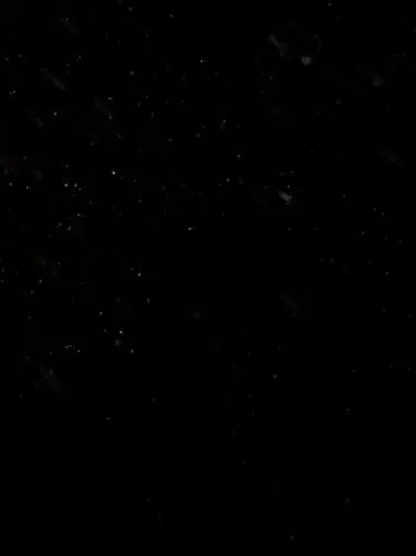 TidyClamp4081의 주인장 픽 보플2랑  동거???