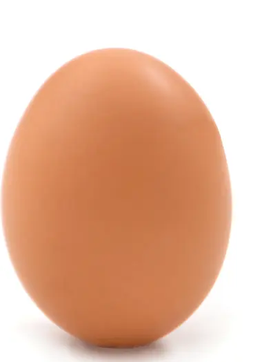 DryCard3176의 Hi! I'm Egg!