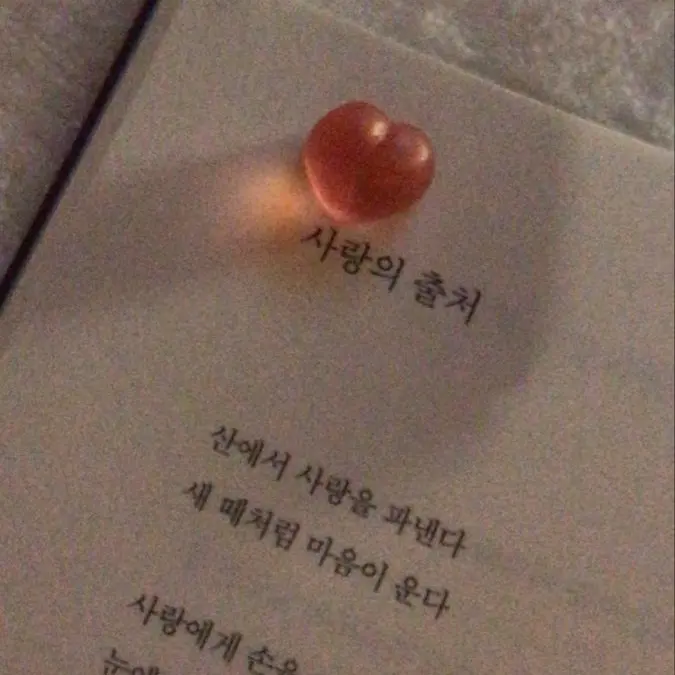 Loveislife의 마에다 리쿠