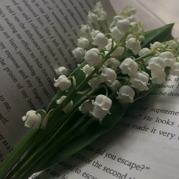 TheNightoftheMasked1314925의 진호빈