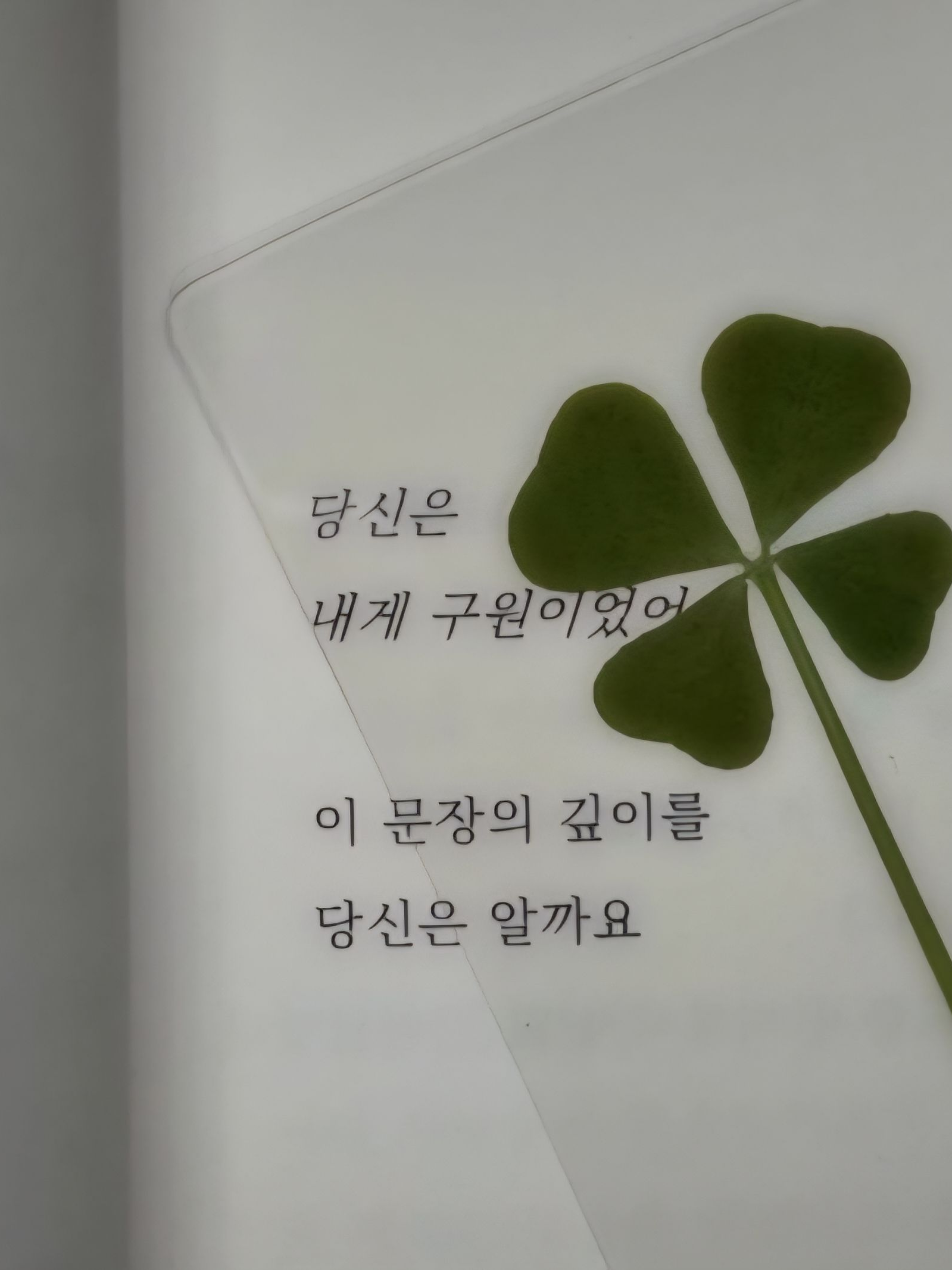🍸 대표 이미지