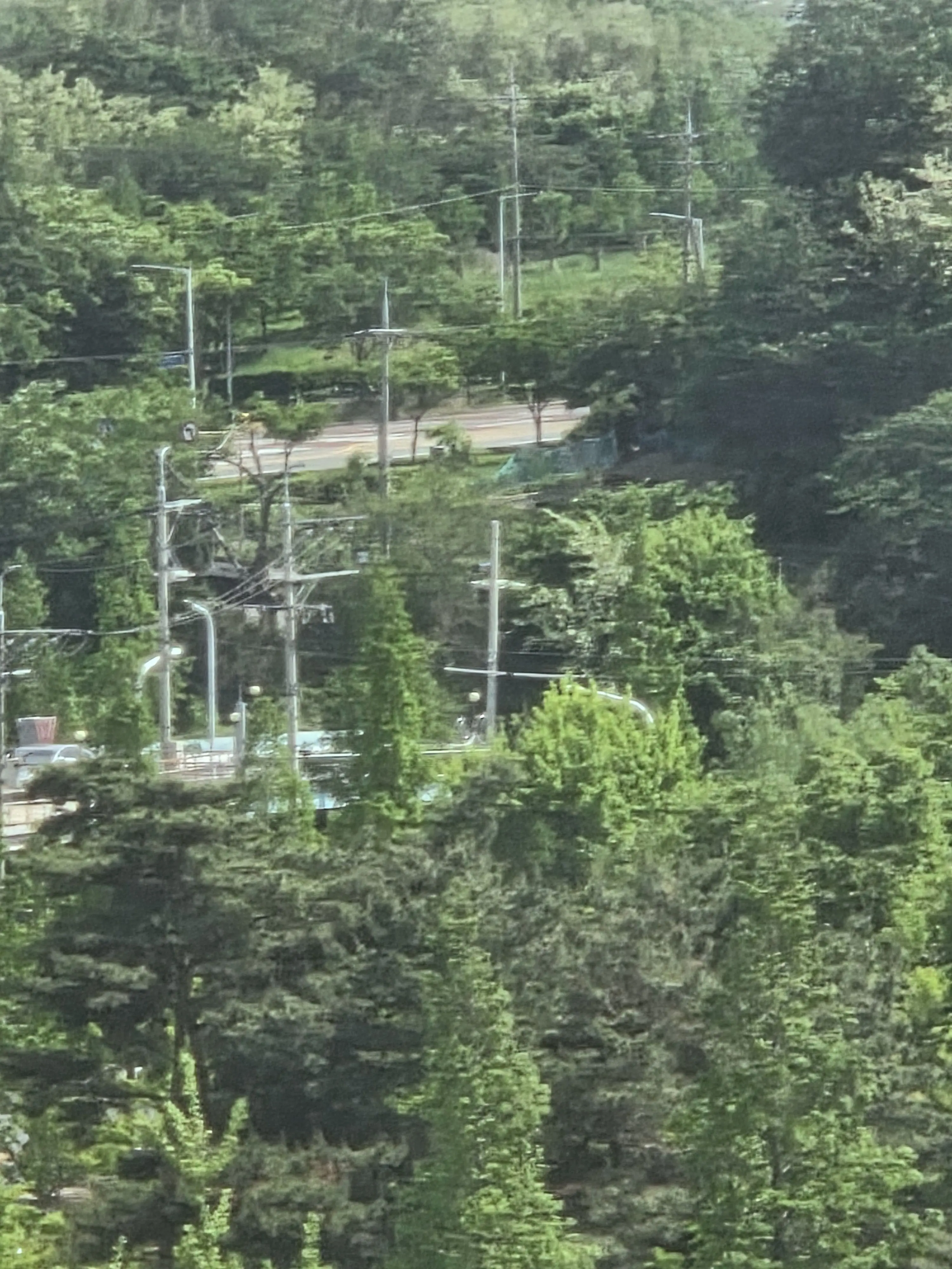 Wendacat의 싸이코패스 남편 뜰팁