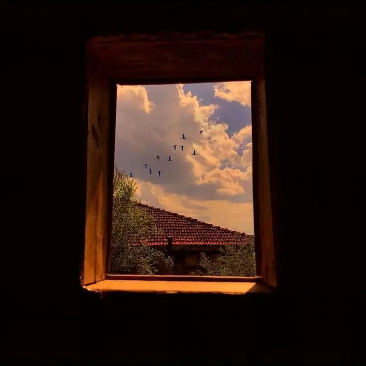 Iamnotailen의 섹시하게 꿀꿀~♥︎