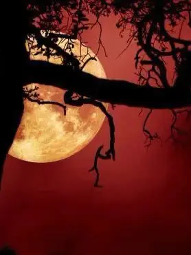 itskayy의 ‘ CRESCENT FALLS 🖤🩸