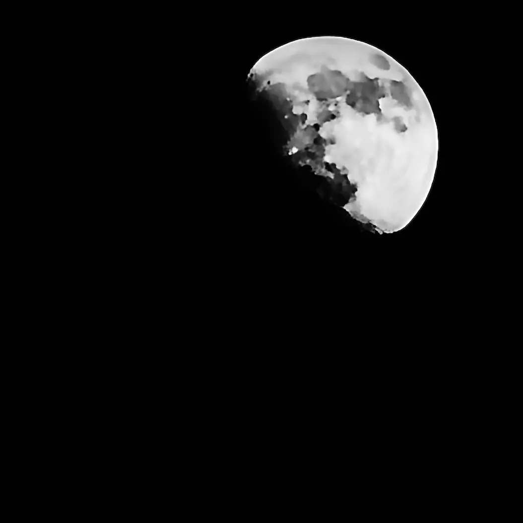 NICKNAME7552의 朴宗健