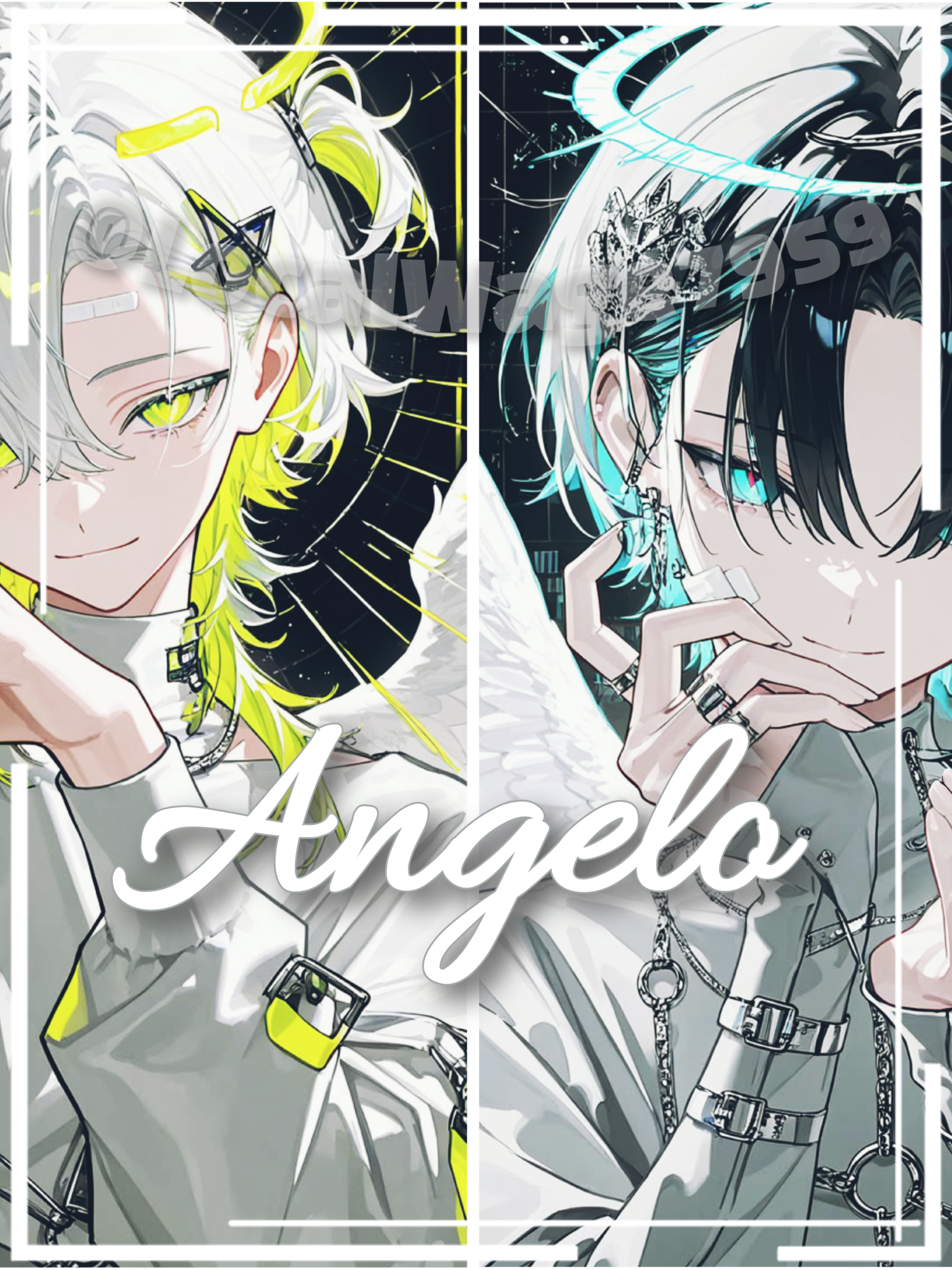 ✧Angelo✧ 대표 이미지