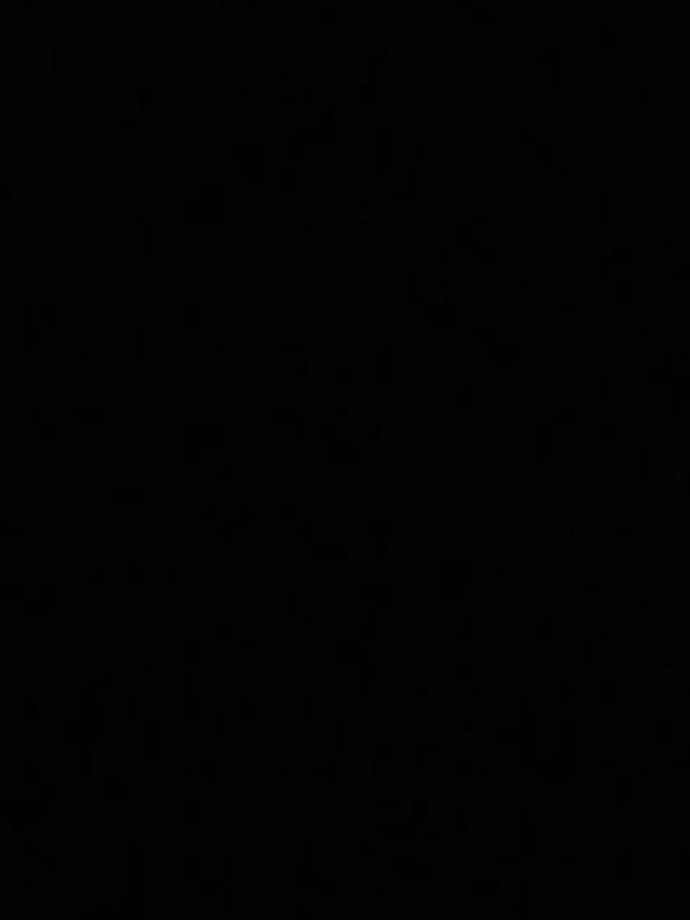 Chinyabu0의 로블록스 개발자&게임개발자들