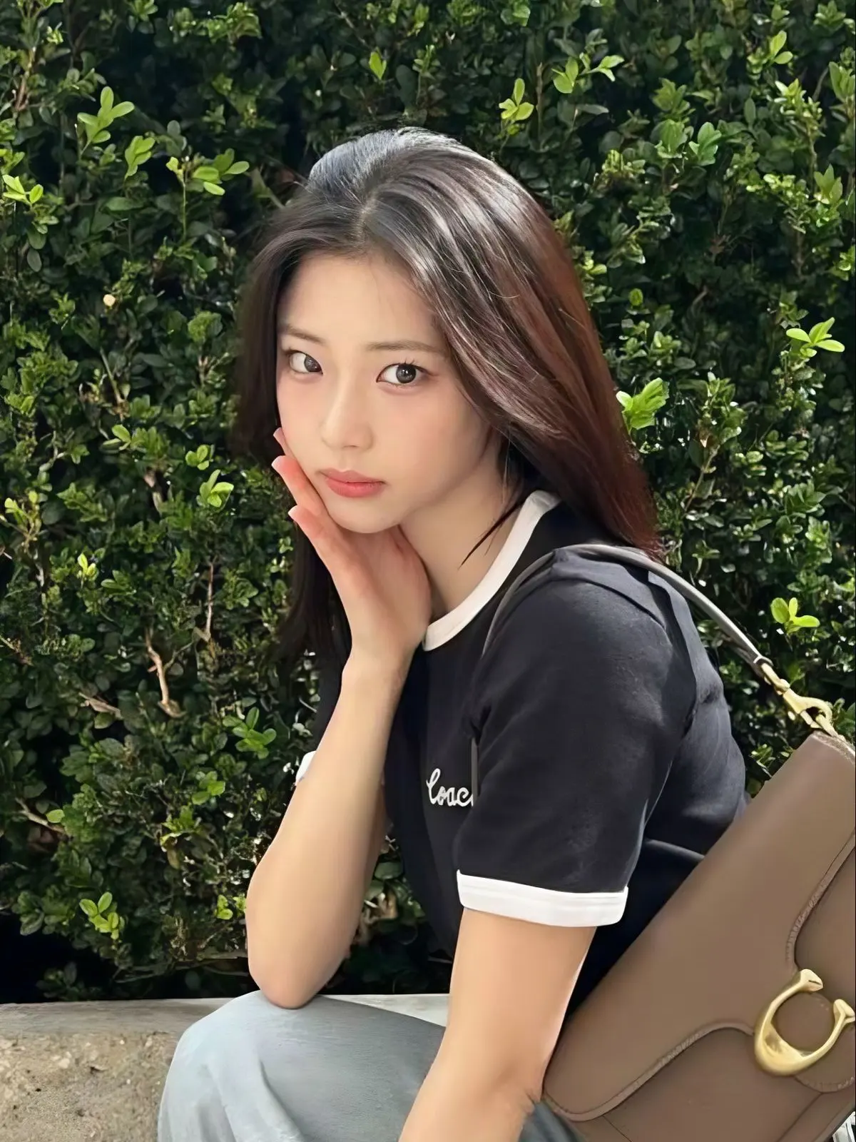 PastFox0199의 베이비몬스터