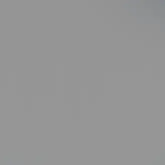 ffffdjdjn의 경찰활동