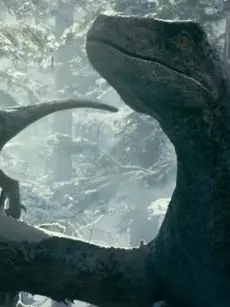 Tyrannosaurus_Rex의 블루&베타
