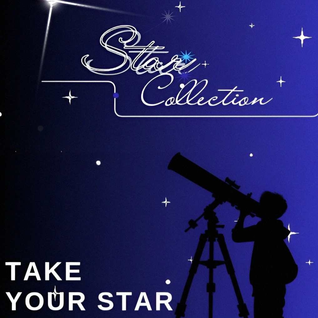 STAR collection(스타션)