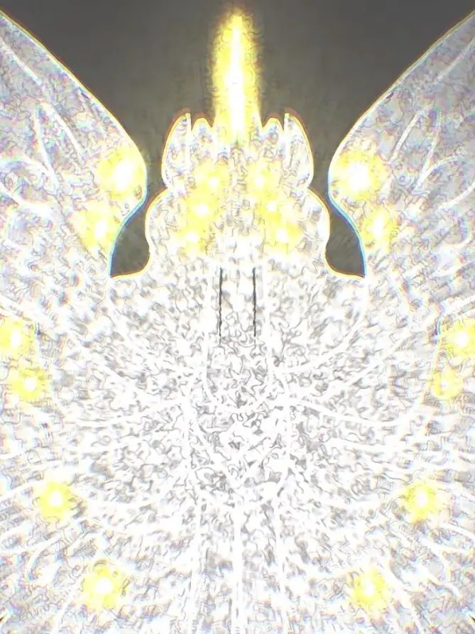 CloudyTaxi6422의 👁️ THE VEIL 👁️