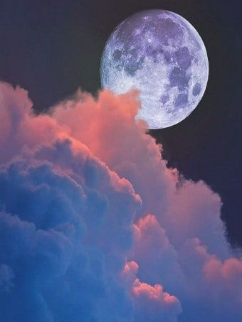 스텔라이브의 매니저 대표 이미지