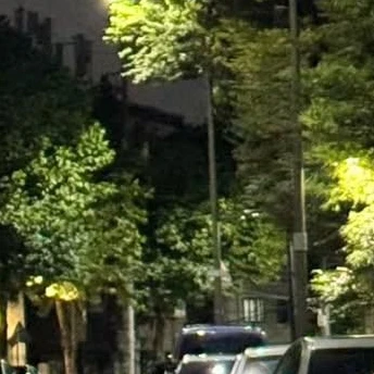 양아치 친오빠들