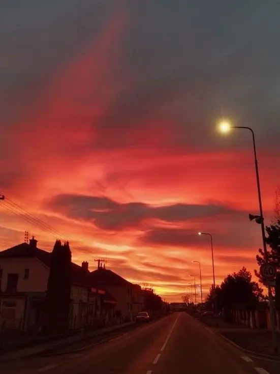 interesting_taste의 마플