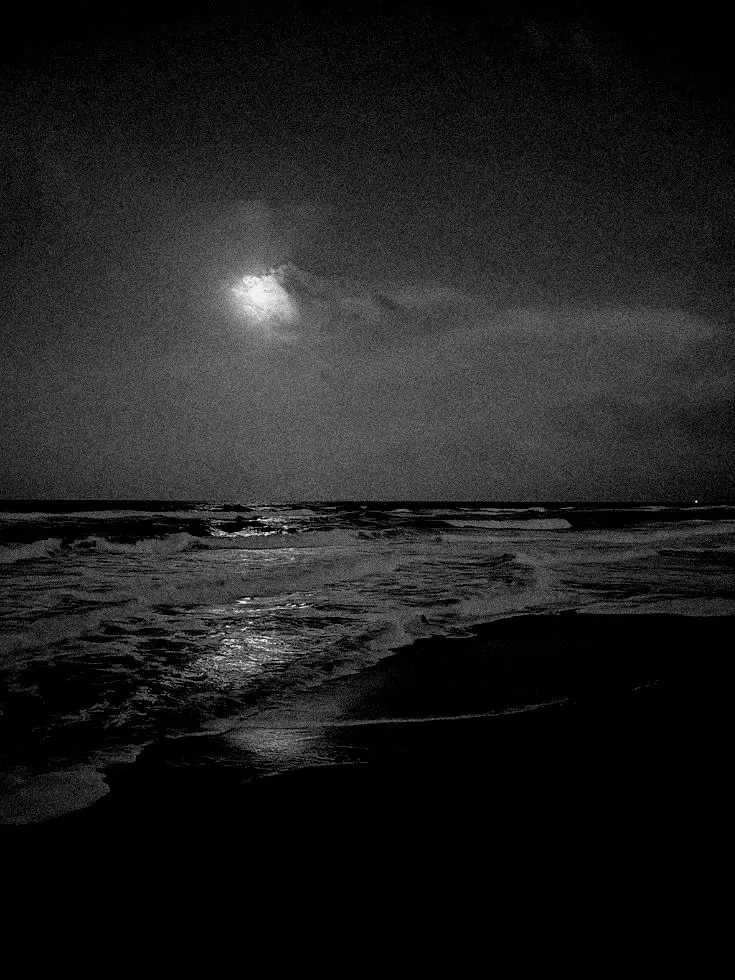 mxonxx의 打ち上げ