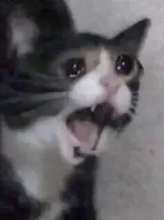 KindToken1693의 왜 내가덕질하려고 하자마자 논란인데ㅠ