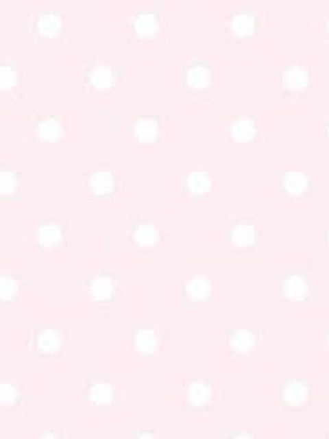 — 대표 이미지