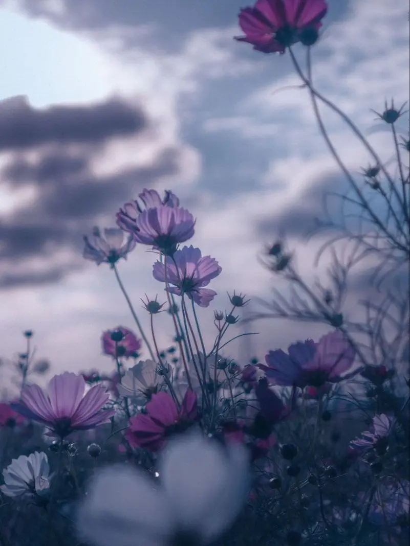 MustySpool3878의 逃げないでくださいね♡