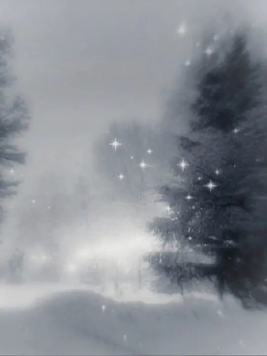 RAIN_B의 白狼
